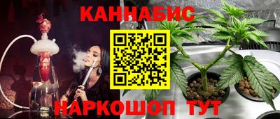 прущие крисы Ирбит