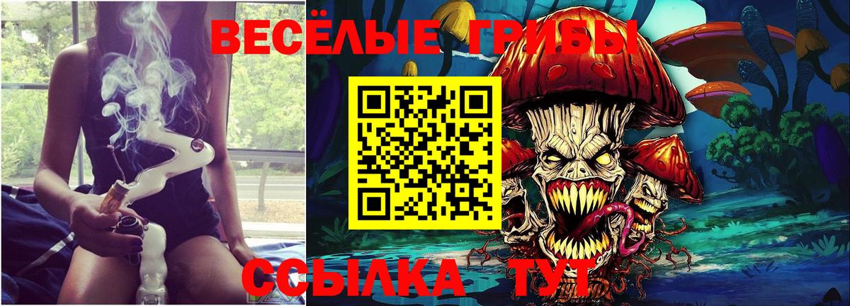 Гусь-Хрустальный  дарнет шоп  Вход с VPN  Псилоцибиновые грибы MAGIC MUSHROOMS 