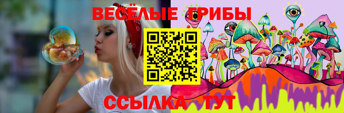 Псилоцибиновые грибы прущие грибы Гусь-Хрустальный